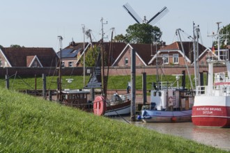 Harbour with fishing boats, a windmill and houses in the background, green meadow in the