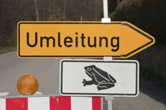 Road closure due to toad migration, Munich, Bavaria, toad migration, amphibian migration, Germany,