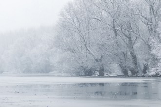 Frozen lake in winter, Winter lake scene