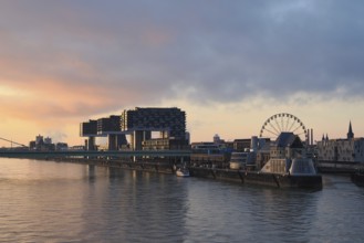 View over the Rhine with crane houses and Ferris wheel, sunrise, Cologne, Germany, Europe