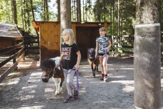 Children walking with ponies, small horses, holding them for a leash. Cute mini horses walking with