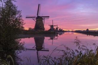 Sunrise on the KInderdijk, Netherlands