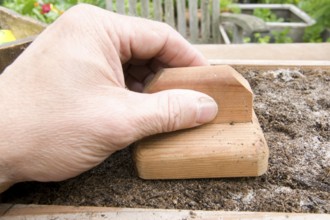 Sowing true sage, pressing seeds, sowing, sowing, sowing