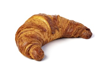 fresh croissant on white background