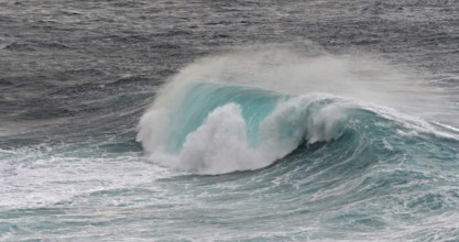 Waves in Atlantic Ocean, Porto Moniz, Madeira Island Portugal