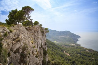 An impressive panorama of a rock face with trees above a coastline and the blue sea, view over