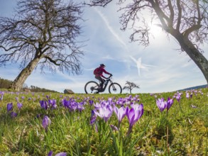 Cheerful young woman riding her electric mountain bike in a meadow with colourful blossoming