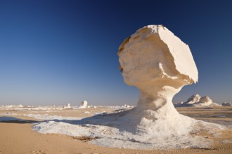 Limestone formation, White Desert National Park, Libyan Desert, Egypt, Africa
