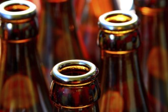 Empty beer bottles in a beer crate