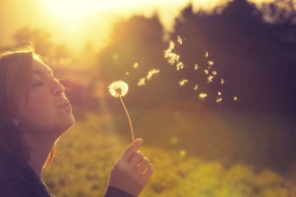 Cut out of a young woman which is blowing dandelion in the evening sun