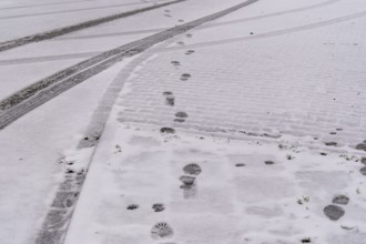 Fresh snow covers a cobblestone street with footprints and tire tracks crossing, creating a winter