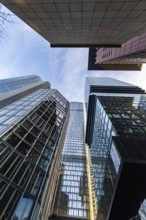 Look up in the morning in the middle of the skyline. Tower blocks and modern glass fronts at