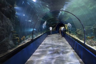 Exhibition room, aquarium, Odysseo Oceanarium Mauritius, show aquarium, large aquarium, old town,