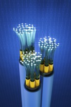 3d rendering of a fiber optic cable