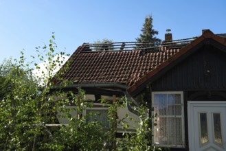 Lost place, building with broken roof, Brandenburg, Germany, Europe