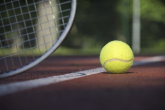 Low angle view tennis scene with yellow ball near racquet and white line in a sports and healthy