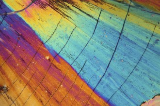 Thulium is a rare earth element. The crystals are precipitated from a solution on a microscope