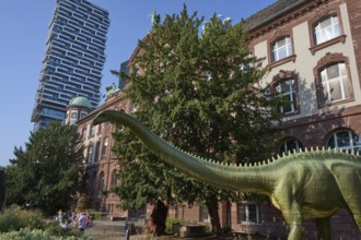 Diplodocus longus, dinosaur model, in front of the Senckenberg Museum, Senckenberganlage, behind