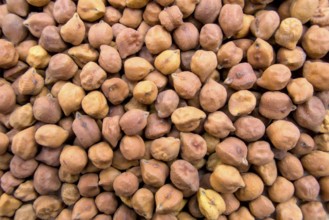 Full-Frame Close-Up of Black or Brown Chickpeas with Textured Details, Top View