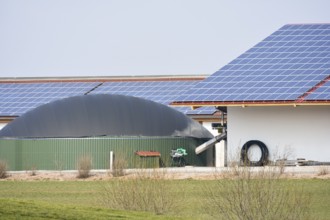 Renewable energy with photovoltaic and a biogas production facility