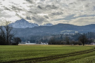 Green fields in front of mountains and cloudy sky, Ainring, Upper Bavaria