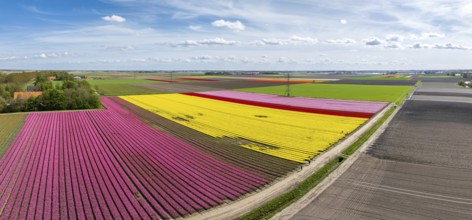 Aerial view of a beautiful landscape filled with colorful tulips