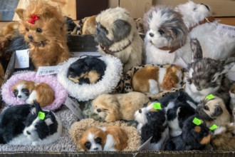 Stuffed animals, cats and dogs, Made in PRC, made in the People's Republic of China, at the
