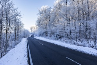 Snow-covered road winds through a wintry forest, hoarfrost in Unterallgäu, Bavaria, Germany, Europe