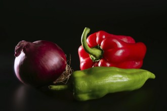 Vegetables still with onion and pepper over black background