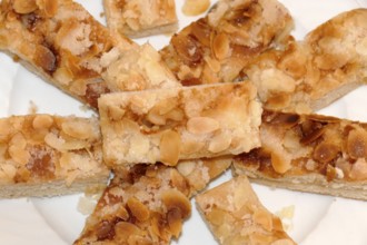Butter cake pieces on a plate, Germany, Europe