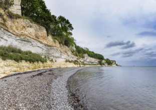 Stevns Klint, cliff on the Baltic Sea on Zealand, Denmark, Europe