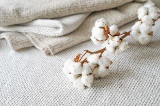 Neutral colored fabrics made from ecofriendly grown cotton and a branch with fluffy balls, concept