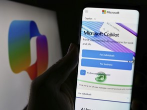 Stuttgart, Germany, 02-22-2024: Person holding cellphone with webpage of artificial intelligence