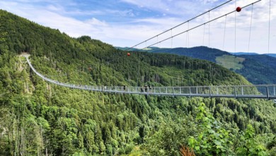 Blackforestline suspension bridge in Todtnau, Black Forest