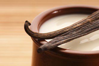 Sweet vanilla pudding dessert, poland