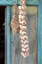 Garlic bulbs braided into a plait, hanging