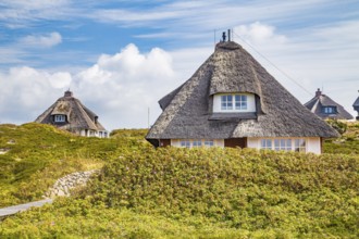 Thatched-roof villas of the Kersig estate in the dunes, Hörnum, Sylt