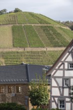 Vineyard terraces in the Ahr valley