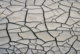 Cracked soil in Summer