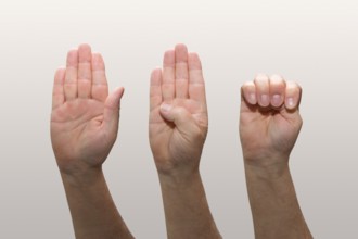 Hand Signs of Domestic Violence