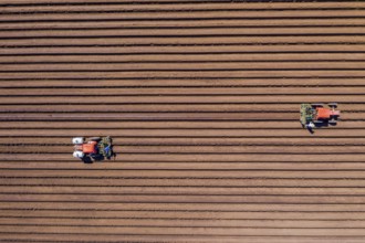 Aerial view of farmers working in a field gathering crops for consumers