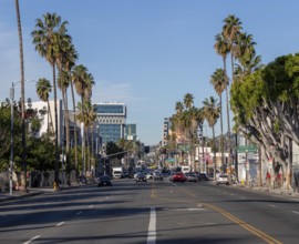 A picture of the east section of Sunset Boulevard