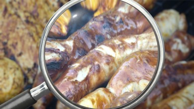 Symbolic image on the subject of control, quality, check, test, etc. of grilled meat and sausages