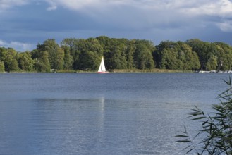 View over the Scharmützelsee with a sailing boat, Bad Saarow, Brandenburg, Germany, Europe