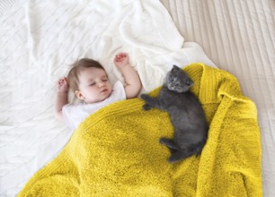 Close up portrait of a beautiful sleeping baby and kitten
