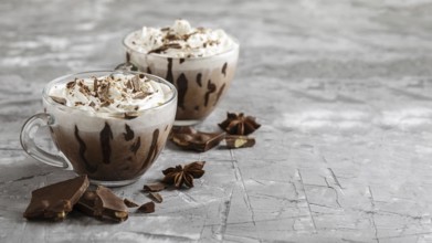 Delicious hot chocolate concept with copy space. Resolution and high quality beautiful photo