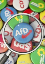 Symbolic image on the subject of AfD observation, AfD election campaign, AfD observation, etc. in
