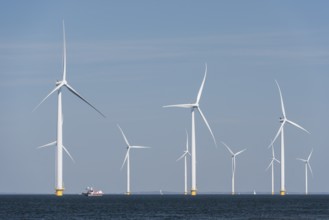 Wind farm in the water off the coast of the noordoostpolder in the Netherlands