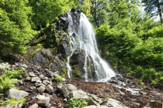A view of the Radau waterfall in the Harz Mountains in Germany in glorious summer weather