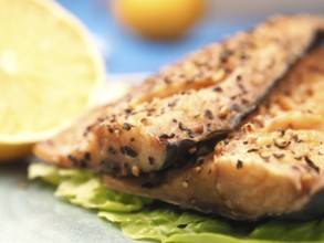 Tasty smoked mackerel garnished with pepper corns, selective focus